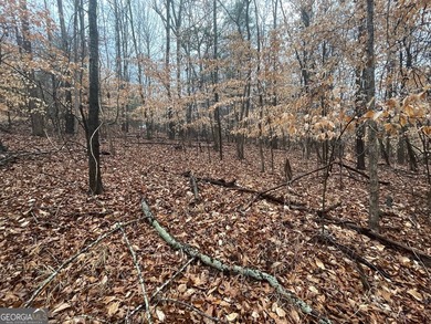 Excellent corner homesite located in the gated Chickasaw Point on The Trail At Chickasaw Pointe in South Carolina - for sale on GolfHomes.com, golf home, golf lot