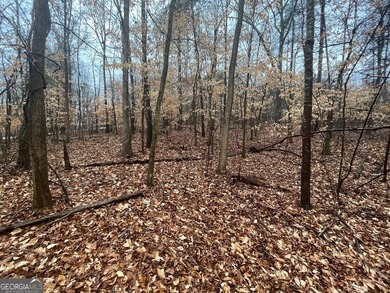 Excellent corner homesite located in the gated Chickasaw Point on The Trail At Chickasaw Pointe in South Carolina - for sale on GolfHomes.com, golf home, golf lot