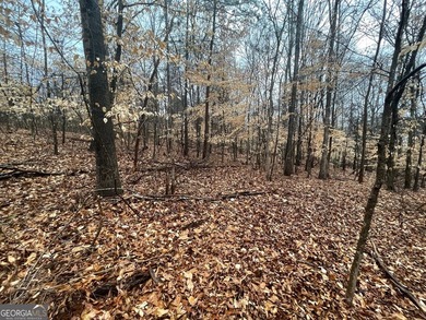 Excellent corner homesite located in the gated Chickasaw Point on The Trail At Chickasaw Pointe in South Carolina - for sale on GolfHomes.com, golf home, golf lot