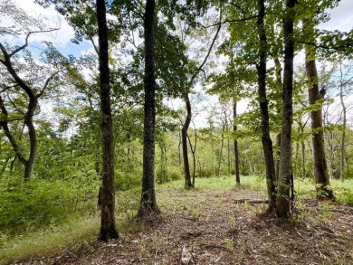 This double lot offers 3.96 acres of privacy and natural beauty on The Bull At Boones Trace in Kentucky - for sale on GolfHomes.com, golf home, golf lot