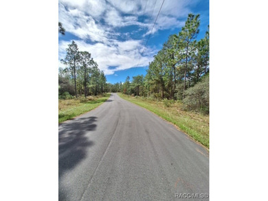 Great opportunity to purchase an .80-acre homesite in the on Citrus Springs Country Club in Florida - for sale on GolfHomes.com, golf home, golf lot