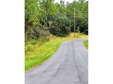 Great opportunity to purchase an .80-acre homesite in the on Citrus Springs Country Club in Florida - for sale on GolfHomes.com, golf home, golf lot