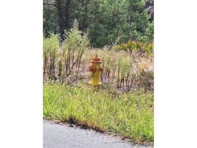 Great opportunity to purchase an .80-acre homesite in the on Citrus Springs Country Club in Florida - for sale on GolfHomes.com, golf home, golf lot