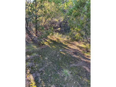 Get away from in all in White Bluff Resort.  Enjoy peace & on White Bluff Resort - New Course in Texas - for sale on GolfHomes.com, golf home, golf lot