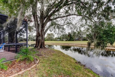 MUST SEE EAST LAKE WOODLANDS TREASURE! A LOVELY WATERFRONT, 4 on East Lake Woodlands Country Club in Florida - for sale on GolfHomes.com, golf home, golf lot