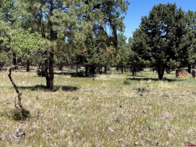 Todd R Schroedel, United Country Sneffels Realty, C: , todd,  : on The Divide Ranch and Club in Colorado - for sale on GolfHomes.com, golf home, golf lot