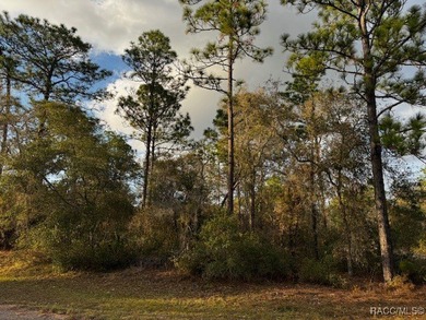 Beautiful Homesite in Citrus Springs!! This 1.57-acre corner lot on Pine Ridge Community Golf and Country Club in Florida - for sale on GolfHomes.com, golf home, golf lot