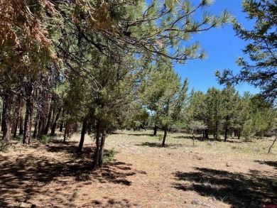 Todd R Schroedel, United Country Sneffels Realty, C: , todd,  : on The Divide Ranch and Club in Colorado - for sale on GolfHomes.com, golf home, golf lot