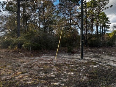 Beautiful Homesite in Citrus Springs!! This 1.57-acre corner lot on Pine Ridge Community Golf and Country Club in Florida - for sale on GolfHomes.com, golf home, golf lot