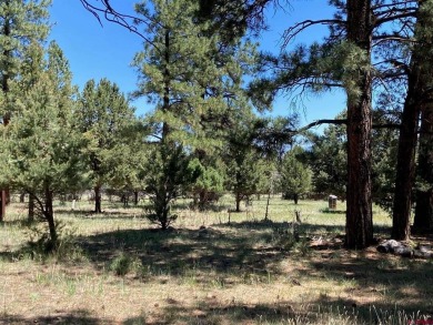 Todd R Schroedel, United Country Sneffels Realty, C: , todd,  : on The Divide Ranch and Club in Colorado - for sale on GolfHomes.com, golf home, golf lot