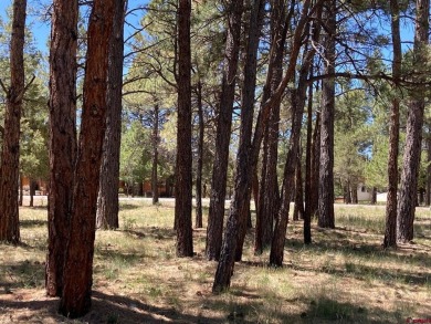Todd R Schroedel, United Country Sneffels Realty, C: , todd,  : on The Divide Ranch and Club in Colorado - for sale on GolfHomes.com, golf home, golf lot