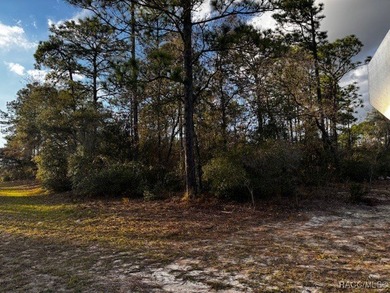 Beautiful Homesite in Citrus Springs!! This 1.57-acre corner lot on Pine Ridge Community Golf and Country Club in Florida - for sale on GolfHomes.com, golf home, golf lot