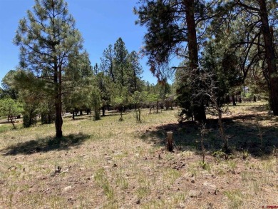 Todd R Schroedel, United Country Sneffels Realty, C: , todd,  : on The Divide Ranch and Club in Colorado - for sale on GolfHomes.com, golf home, golf lot
