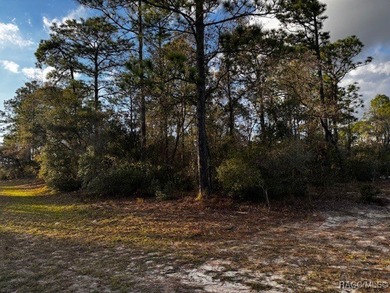 Beautiful Homesite in Citrus Springs!! This 1.57-acre corner lot on Pine Ridge Community Golf and Country Club in Florida - for sale on GolfHomes.com, golf home, golf lot