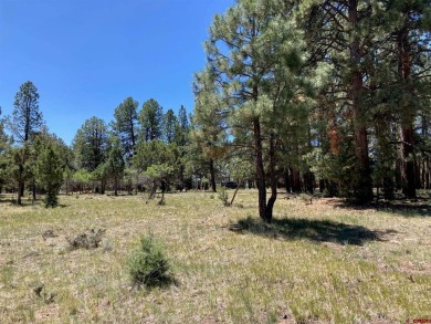 Todd R Schroedel, United Country Sneffels Realty, C: , todd,  : on The Divide Ranch and Club in Colorado - for sale on GolfHomes.com, golf home, golf lot