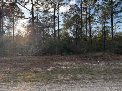 Beautiful Homesite in Citrus Springs!! This 1.57-acre corner lot on Pine Ridge Community Golf and Country Club in Florida - for sale on GolfHomes.com, golf home, golf lot