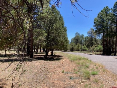 Todd R Schroedel, United Country Sneffels Realty, C: , todd,  : on The Divide Ranch and Club in Colorado - for sale on GolfHomes.com, golf home, golf lot