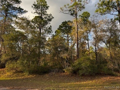 Beautiful Homesite in Citrus Springs!! This 1.57-acre corner lot on Pine Ridge Community Golf and Country Club in Florida - for sale on GolfHomes.com, golf home, golf lot