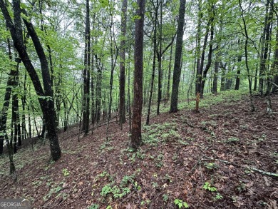 Discover the perfect opportunity to build your dream home in the on Innsbruck Resort and Golf Club in Georgia - for sale on GolfHomes.com, golf home, golf lot