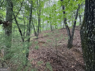 Discover the perfect opportunity to build your dream home in the on Innsbruck Resort and Golf Club in Georgia - for sale on GolfHomes.com, golf home, golf lot