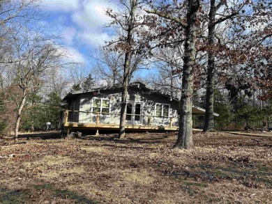 Cute holiday style cabin with end of the road privacy. Level lot on The Course At Turkey Mountain in Arkansas - for sale on GolfHomes.com, golf home, golf lot