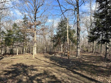 Cute holiday style cabin with end of the road privacy. Level lot on The Course At Turkey Mountain in Arkansas - for sale on GolfHomes.com, golf home, golf lot