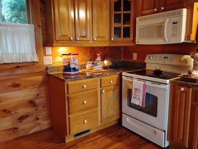 The most adorable, all wood, cabin with a magnificent view in on Sky Valley Resort and Country Club in Georgia - for sale on GolfHomes.com, golf home, golf lot