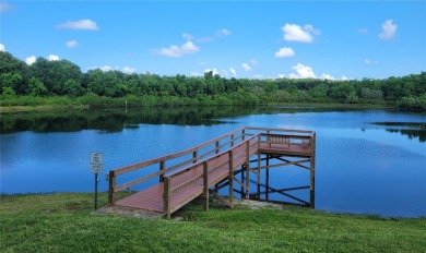 BRAND NEW GOLF COURSE HOME IN BEAUTIFUL ZELLWOOD STATION! Come on Zellwood Station Country Club in Florida - for sale on GolfHomes.com, golf home, golf lot