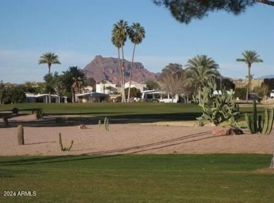 55+ buyers looking for a true move in ready home on an oversized on Apache Wells Country Club in Arizona - for sale on GolfHomes.com, golf home, golf lot