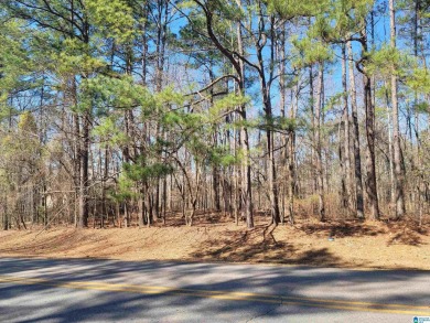 This flat, wooded lot 40 off Stillwaters Drive offers the on Stillwaters Golf and Country Club in Alabama - for sale on GolfHomes.com, golf home, golf lot