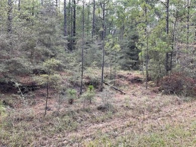 ZERO Restrictions! 6.88 Acres Near Sam Rayburn Lake! A personal on Rayburn Country Club in Texas - for sale on GolfHomes.com, golf home, golf lot