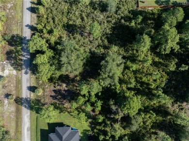 Great Investment! .5 Acre Almost Cleared Lot on Paved Road in on Lehigh Resort Club in Florida - for sale on GolfHomes.com, golf home, golf lot