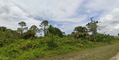 Discover the perfect canvas to create your dream home on this on Mirror Lakes Golf Club in Florida - for sale on GolfHomes.com, golf home, golf lot