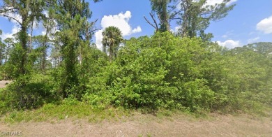 Discover the perfect canvas to create your dream home on this on Mirror Lakes Golf Club in Florida - for sale on GolfHomes.com, golf home, golf lot