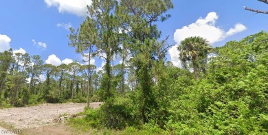Discover the perfect canvas to create your dream home on this on Mirror Lakes Golf Club in Florida - for sale on GolfHomes.com, golf home, golf lot