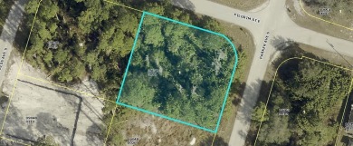 Discover the perfect canvas to create your dream home on this on Mirror Lakes Golf Club in Florida - for sale on GolfHomes.com, golf home, golf lot