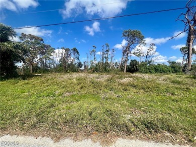 A very nice lot in Rotunda West which is developing quite on Rotonda Golf and Country Club - Long Marsh  in Florida - for sale on GolfHomes.com, golf home, golf lot