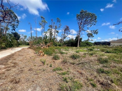 A very nice lot in Rotunda West which is developing quite on Rotonda Golf and Country Club - Long Marsh  in Florida - for sale on GolfHomes.com, golf home, golf lot