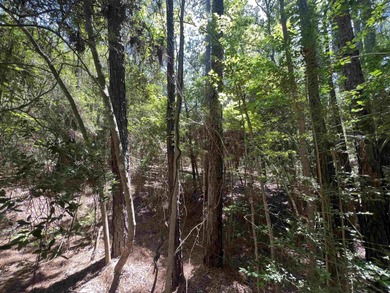 Owner finance available. This beautiful .26 acre lot is nestled on Rayburn Country Club in Texas - for sale on GolfHomes.com, golf home, golf lot