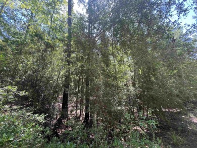 Owner finance available. This beautiful .26 acre lot is nestled on Rayburn Country Club in Texas - for sale on GolfHomes.com, golf home, golf lot