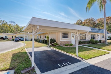 Under contract-accepting backup offers. Welcome to Paradise on Summertree Golf Course in Florida - for sale on GolfHomes.com, golf home, golf lot