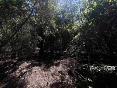 Owner finance available. This beautiful .26 acre lot is nestled on Rayburn Country Club in Texas - for sale on GolfHomes.com, golf home, golf lot