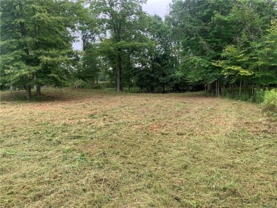 Great Spot to Build Your Dream Home! SOLD on Alexandria Bay Municipal Golf Course in New York - for sale on GolfHomes.com, golf home, golf lot