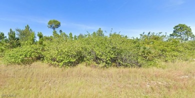 Discover the perfect canvas to create your dream home on this on Lehigh Resort Club in Florida - for sale on GolfHomes.com, golf home, golf lot