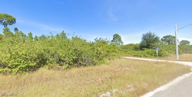 Discover the perfect canvas to create your dream home on this on Lehigh Resort Club in Florida - for sale on GolfHomes.com, golf home, golf lot