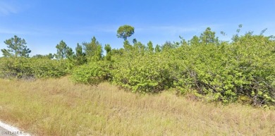 Discover the perfect canvas to create your dream home on this on Lehigh Resort Club in Florida - for sale on GolfHomes.com, golf home, golf lot