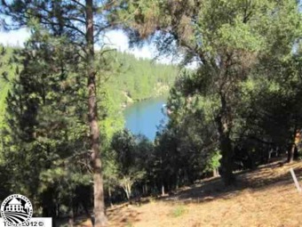 LAKE FRONT PROPERTY on approx 3/4 acres with 161 feet of Lake on Pine Mountain Lake Country Club in California - for sale on GolfHomes.com, golf home, golf lot