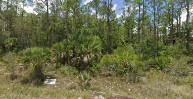 Discover the perfect canvas to create your dream home on this on Lehigh Resort Club in Florida - for sale on GolfHomes.com, golf home, golf lot