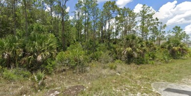 Discover the perfect canvas to create your dream home on this on Lehigh Resort Club in Florida - for sale on GolfHomes.com, golf home, golf lot
