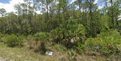 Discover the perfect canvas to create your dream home on this on Lehigh Resort Club in Florida - for sale on GolfHomes.com, golf home, golf lot